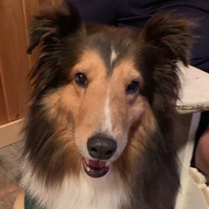 Meet your Posher, Terri